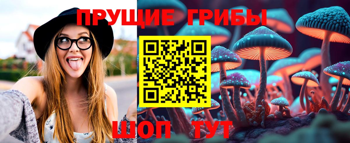 Советск  Галлюциногенные грибы GOLDEN TEACHER  Вход с VPN 