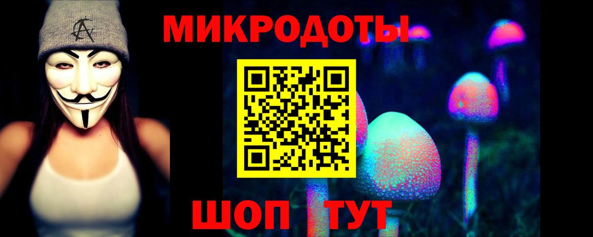Псилоцибиновые грибы прущие грибы Советск